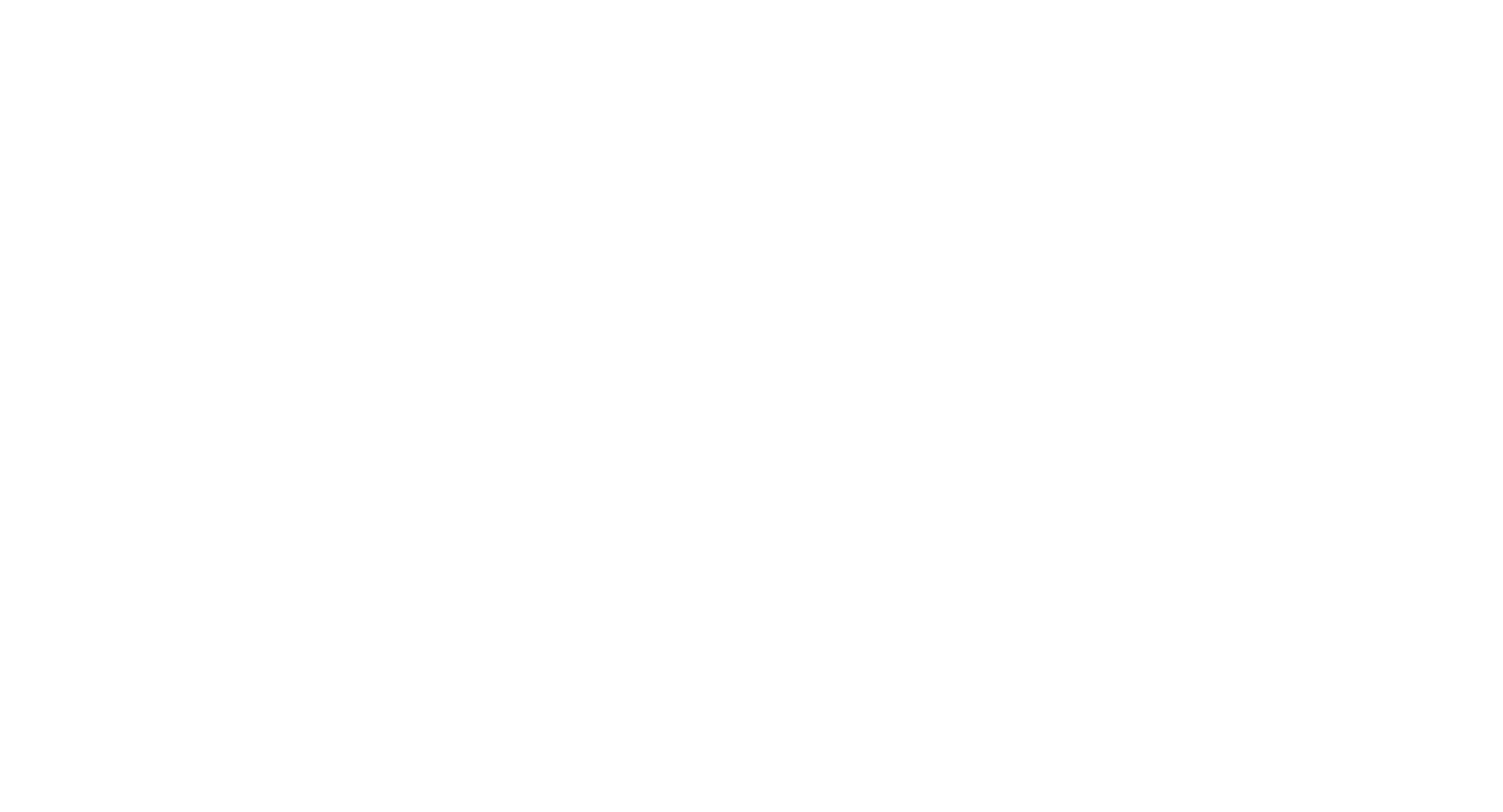 Logo TN Sports