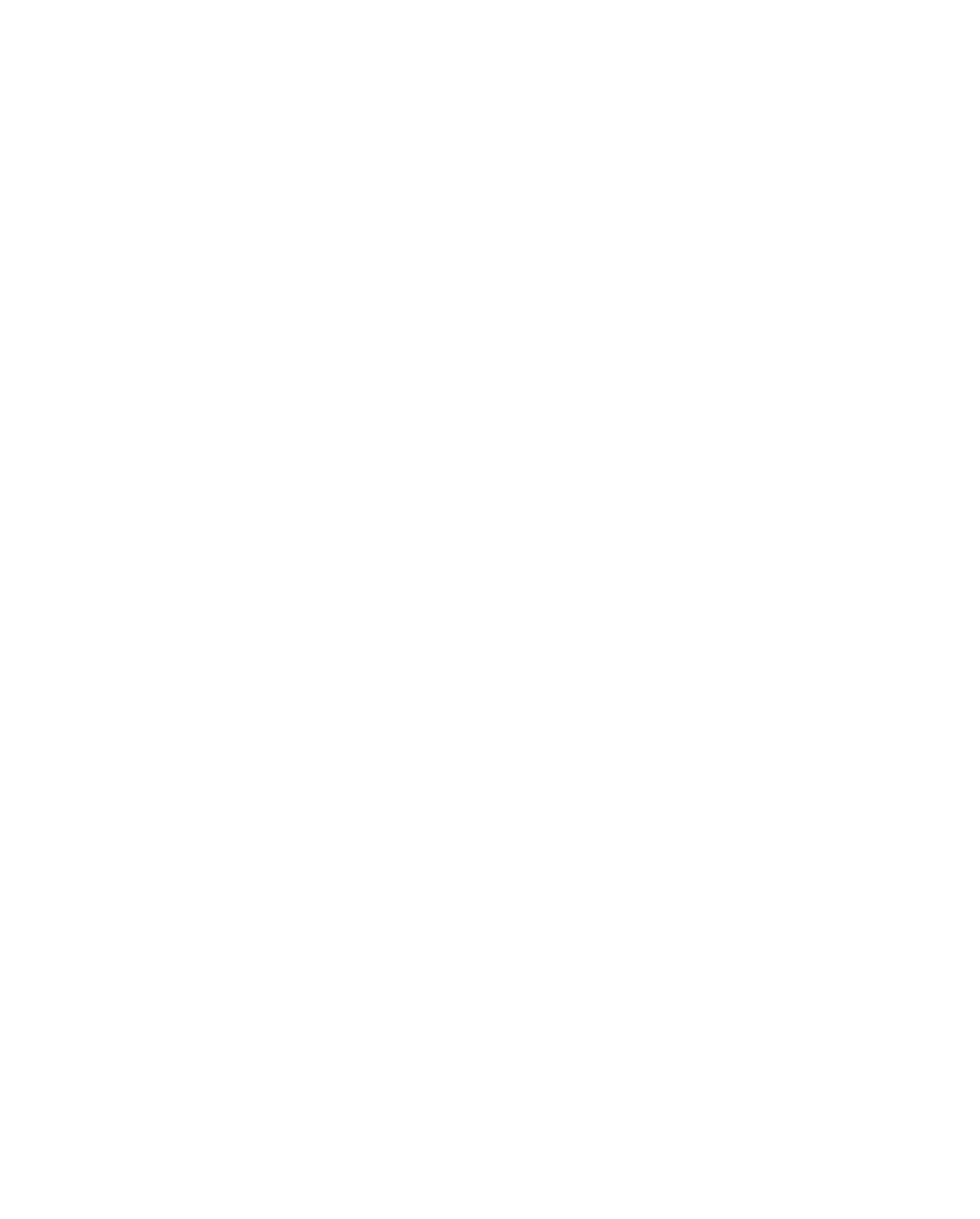 Logo FPF