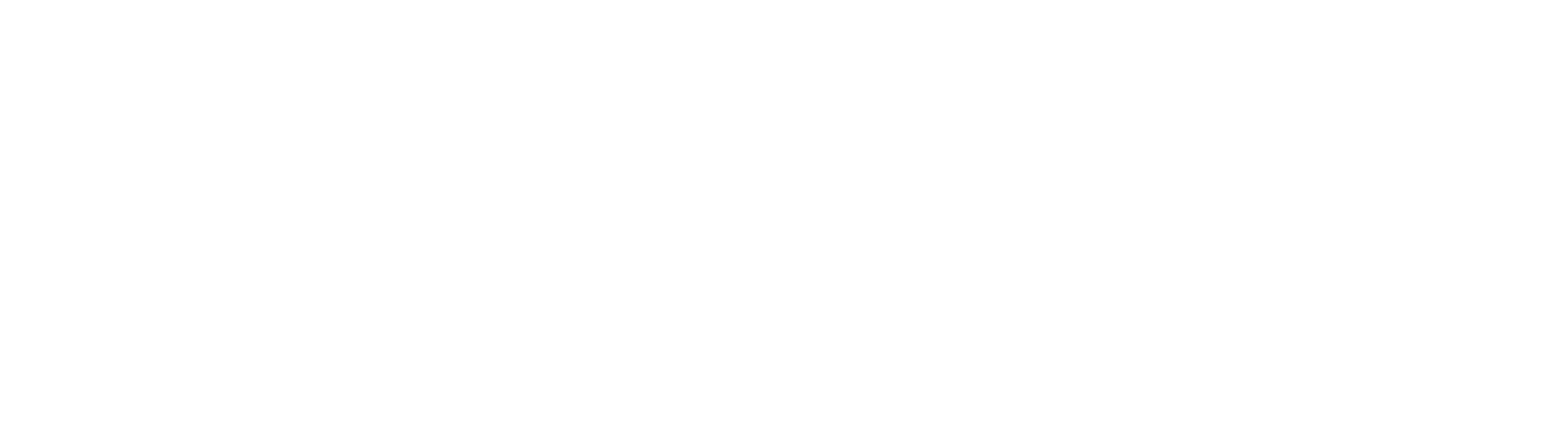 Logo Stock Car
